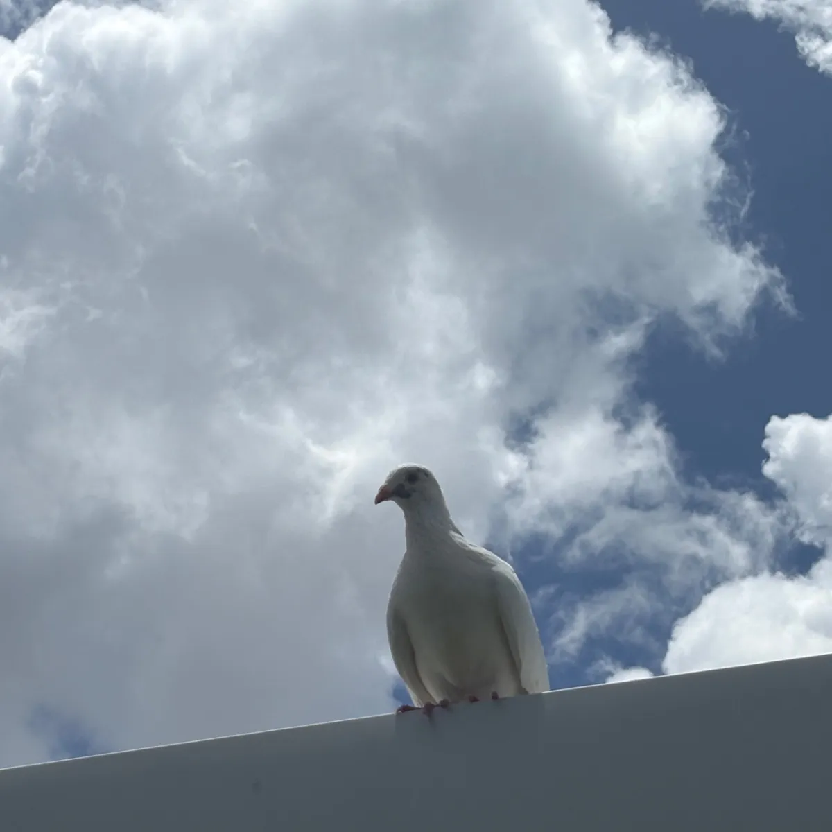 Custom Guided Mediation and Energy Work - Image 1
